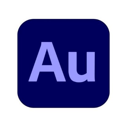 Obrázek Audition for teams, Multi Platform, Multi Language Government, 1 User, 12 Months, Level 1, 1 - 9 Lic